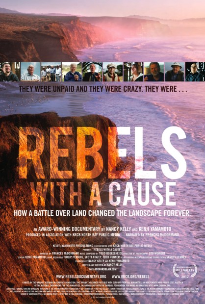 Rebels with a Cause poster