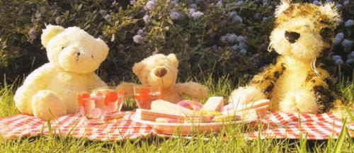 Teddy bear picnic waltham abbey library