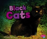 black cats