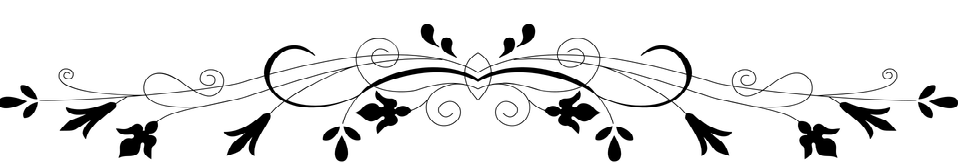 Seed Library Newsletter Fort Bragg Library