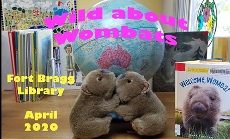 wombats