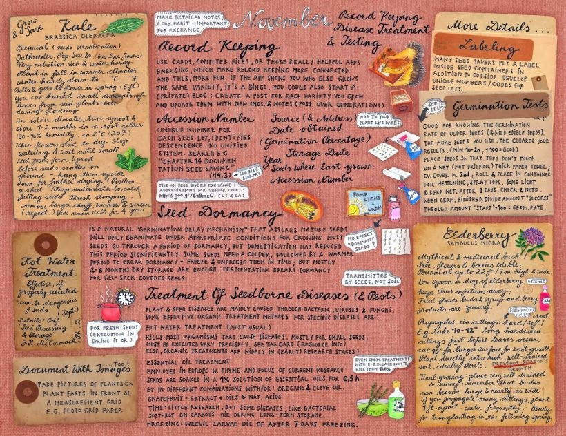 Nov Garden Calendar