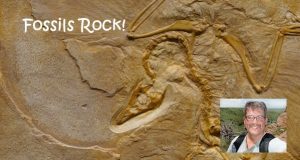 Fossils Rock